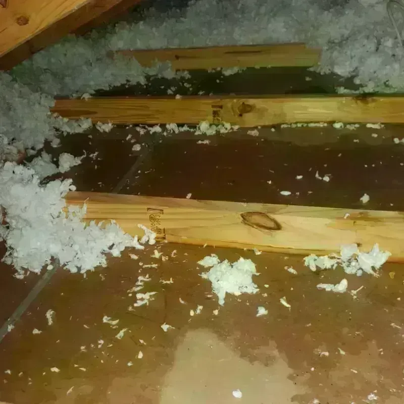 Attic Water Damage in Williamston, NC